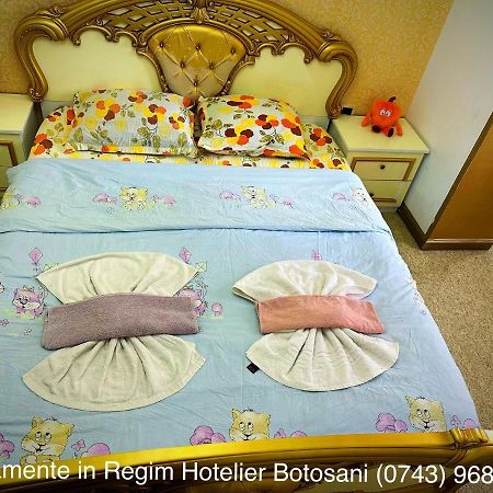 Apartament De Lux Zona 0 Botosani 2 Camere エクステリア 写真
