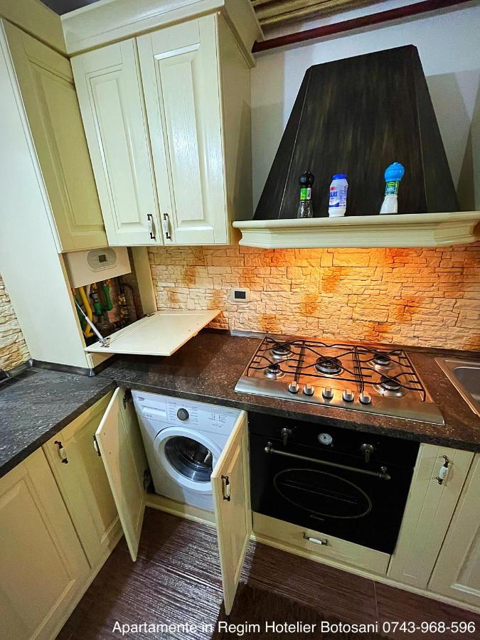 Apartament De Lux Zona 0 Botosani 2 Camere エクステリア 写真