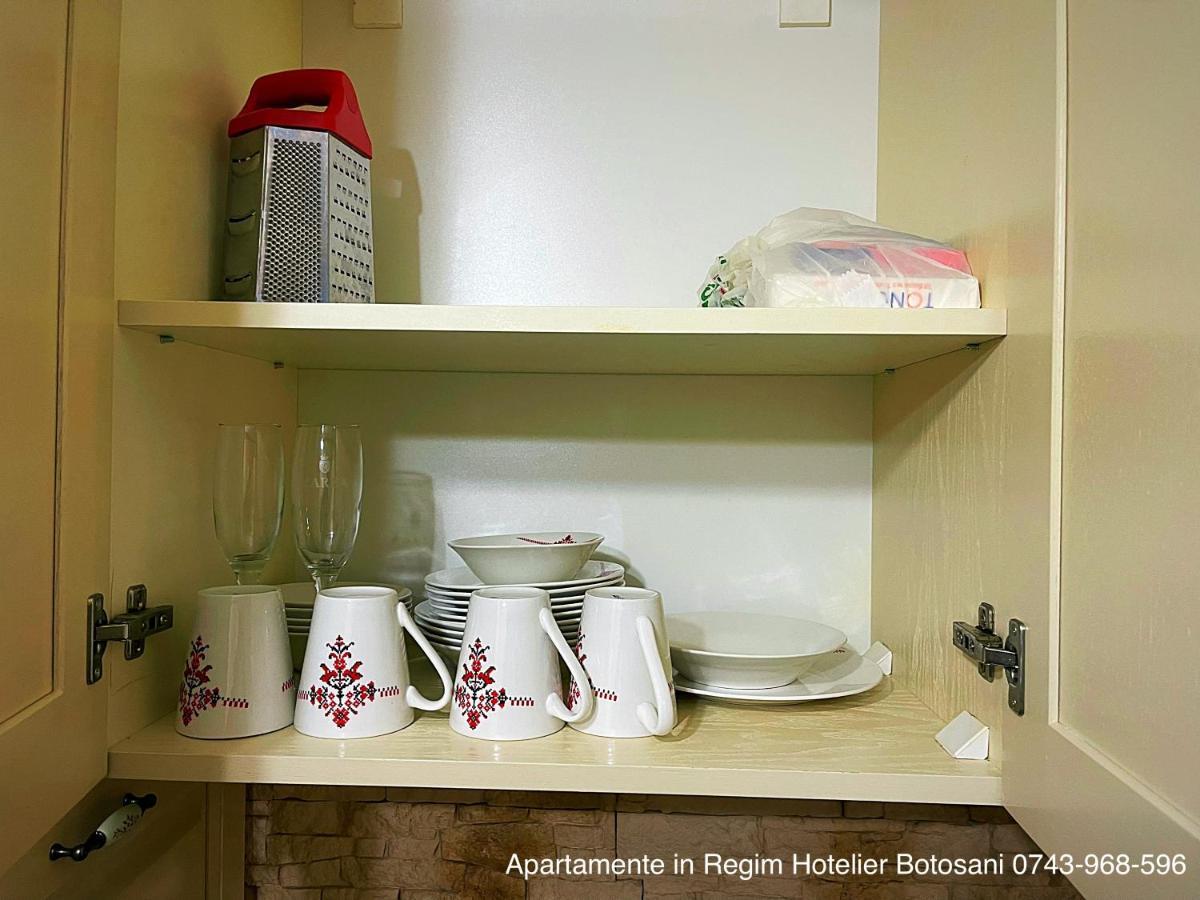 Apartament De Lux Zona 0 Botosani 2 Camere エクステリア 写真